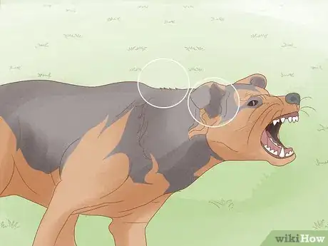 Image titled Prevent Dog Fights Step 14