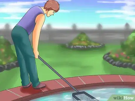 Image titled Remove Turbidity Step 1