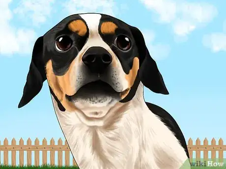 Image titled Stop Your Dog from Running Out of the Backyard Step 1