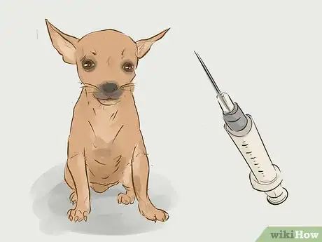 Image titled Prevent a Rabies Infection Step 1