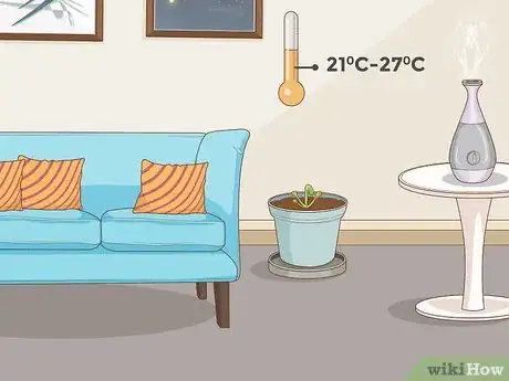 Image titled Grow Sundews Step 21