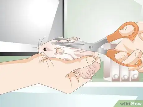 Image titled Clean a Long Haired Hamster Step 6
