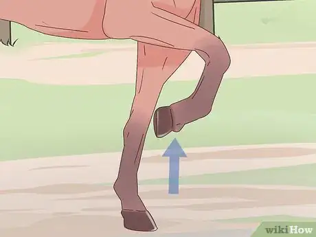 Image titled Teach a Horse to Bow Properly Step 2