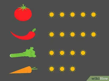 Image titled Make a Sun Chart Step 12