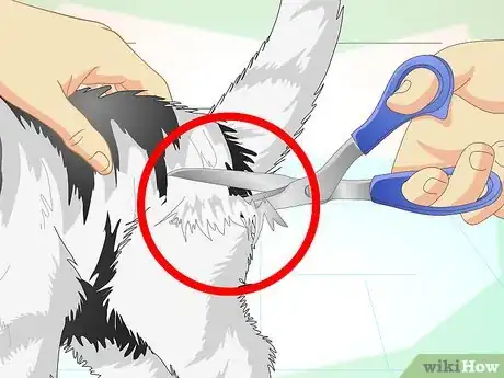 Image titled Keep Your Cat from Urinating Where It Shouldn't Step 14