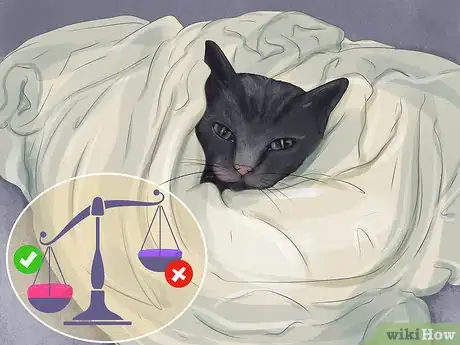 Image titled Capture an Angry or Upset Cat Step 4