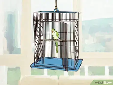 Image titled Entertain a Quaker Parrot Step 10