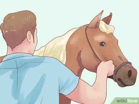 Image titled 763229 21