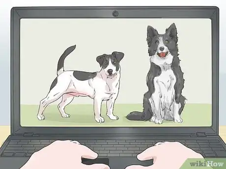 Image titled Choose a Dog That's Easy to Train Step 1