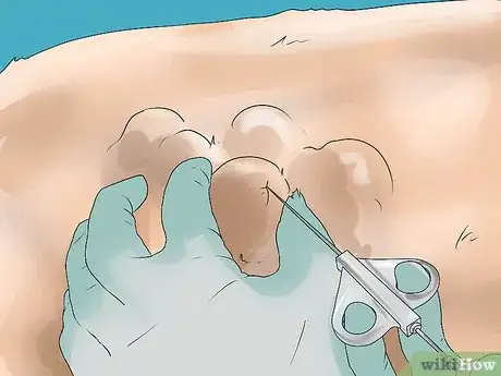 Image titled Diagnose Canine Cancer Step 10