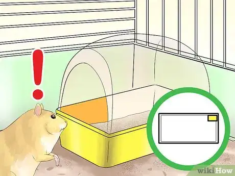Image titled Train Your Hamster Step 12