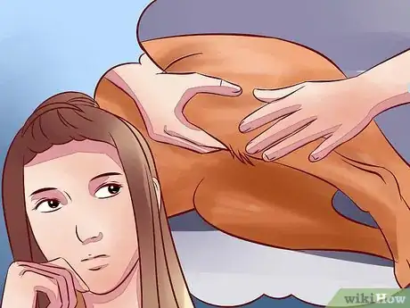 Image titled Treat Arthritis in Dogs Step 8