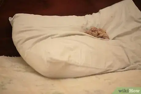 Image titled Use Leftover Green Tea Leaves Step 3