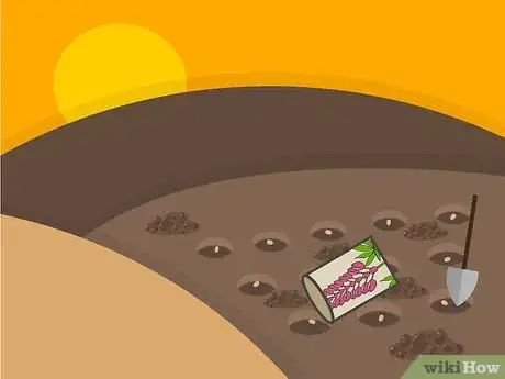 Image titled Grow Lupine Flowers Step 09