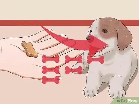 Image titled Teach Your Puppy to Lie Down Step 12