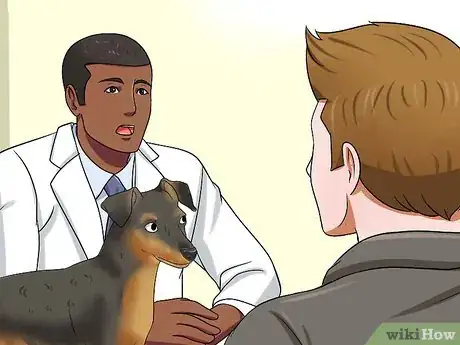 Image titled Solve Digestive Problems With Small Dogs Step 14