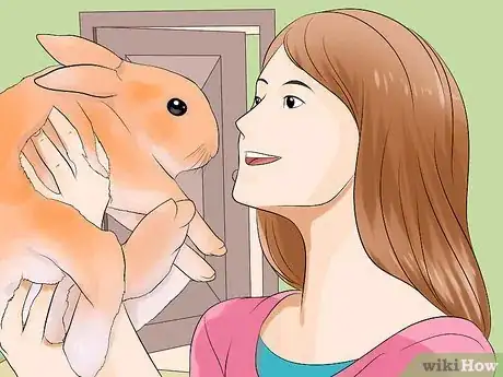 Image titled Care for Palomino Rabbits Step 18