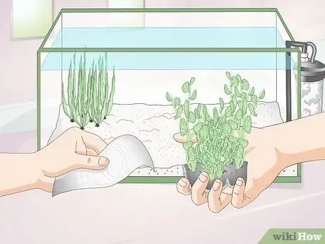 Image titled Creatively Decorate a Freshwater Fish Tank Step 10