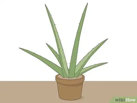 Image titled Use Aloe Juice As an Astringent Step 11