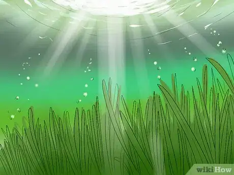 Image titled Go Scalloping Step 5