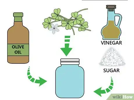 Image titled Harvest Wood Sorrel Step 10