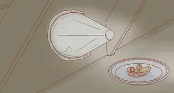 Get Rid of Squirrels in the Attic