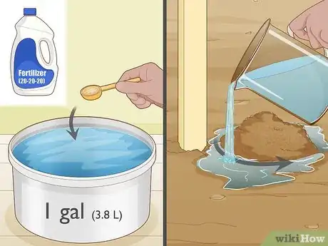 Image titled Plant Gloriosa Bulbs Step 9