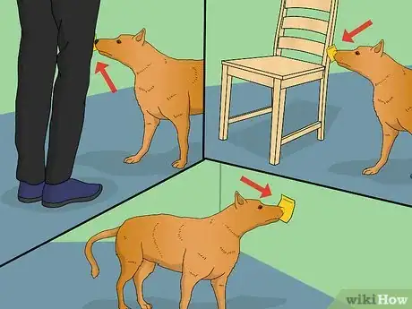 Image titled Train Your Dog to Shake Its Head Step 9