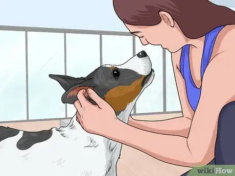 Image titled Choose a Dog‐Friendly Vacation Destination Step 10