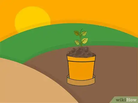 Image titled Plant Bulbs in Pots Step 12