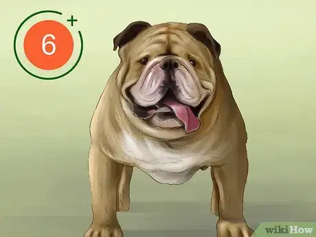 Image titled Know if You Are Ready for a Dog Step 17