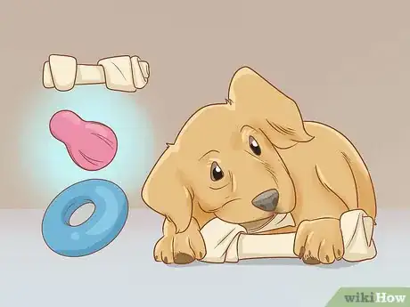 Image titled Train Your Dog to Walk or Heel Without a Choke Chain Step 3