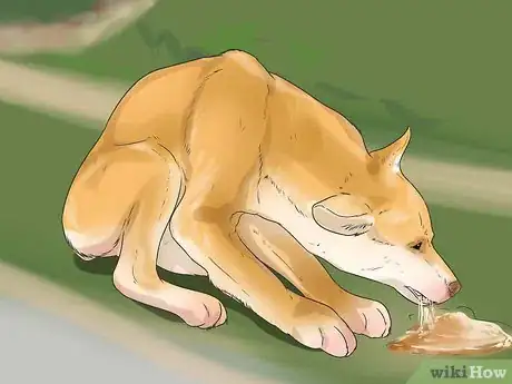 Image titled Care for a Dog with Brain Cancer Step 9