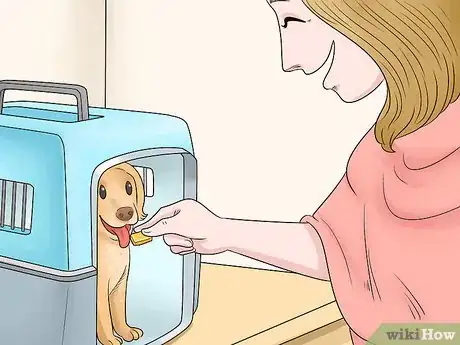 Image titled Keep Pets Safe During a Tornado Step 11