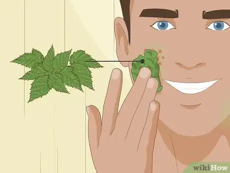 Image titled Use Plants As Medicine Step 14