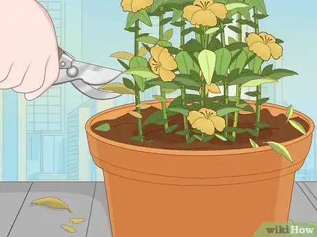 Image titled Plant Snowdrops Step 11