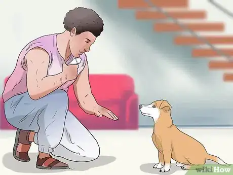 Image titled Train a Dog to Respond to Voice Commands Step 6