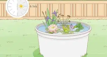 Grow a Container Garden