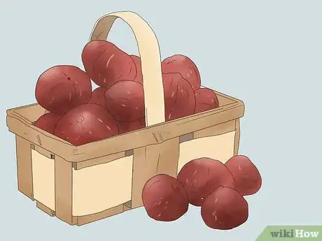 Image titled Grow Figs Step 10