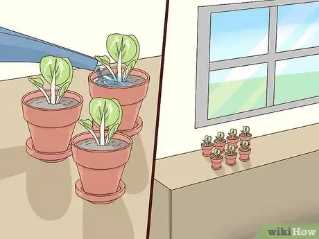 Image titled Grow African Violets Step 9