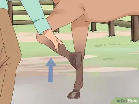 Image titled Teach a Horse to Bow Properly Step 7