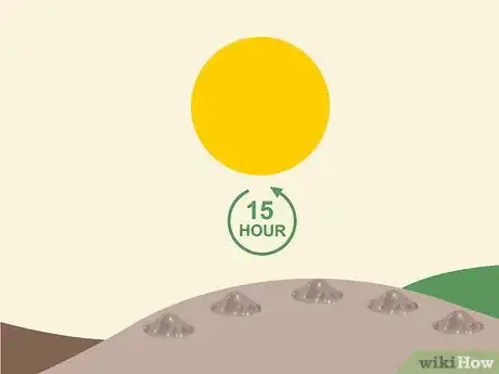 Image titled Grow Lanzones Step 4