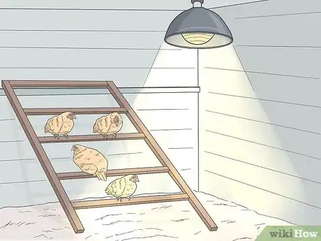 Image titled Raise Meat Chickens Step 20