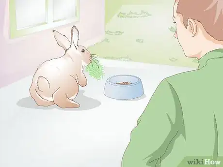 Image titled Care for Disabled Rabbits Step 11