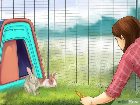 Image titled Choose a Rabbit Cage Step 9