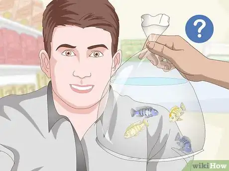 Image titled Care for Mbuna Cichlids Step 8