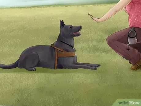 Image titled Know if You Are Ready for a Dog Step 19