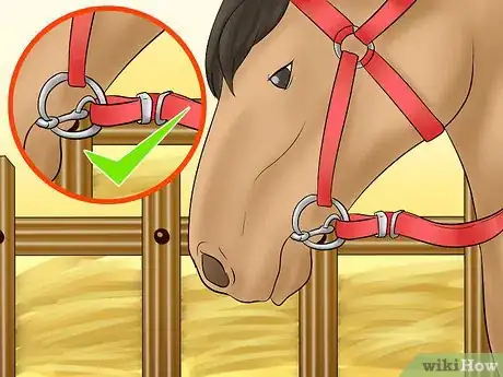 Image titled Calm Your Hot Horse Step 8