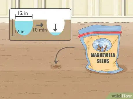 Image titled Grow Mandevillas Step 2