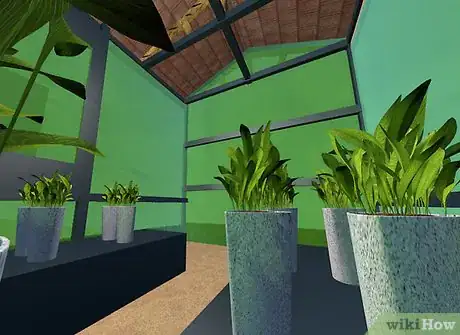 Image titled Maintain a Greenhouse Step 10Bullet1